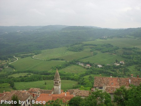 Motovun-01.JPG