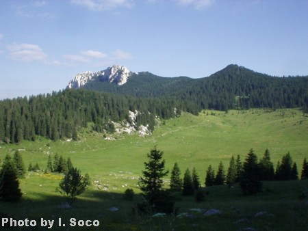 Velebit-Lubenovac-01.JPG