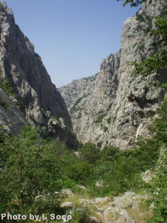 Velebit-Paklenica-06.JPG