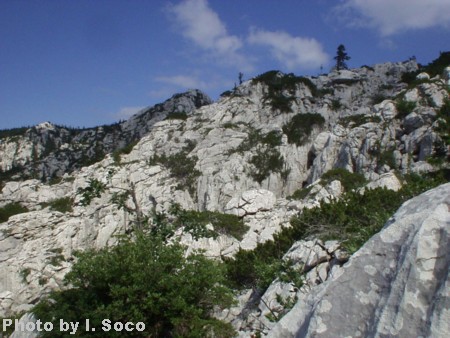 Velebit-Rozanski-01.JPG